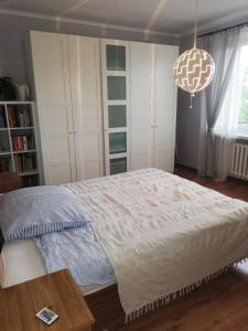 Łóżko lub łóżka w pokoju w obiekcie Comfortable Apartment close to Spodek