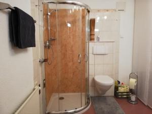 La salle de bains est pourvue d'une douche et de toilettes. dans l'établissement Studio, à Tulfes