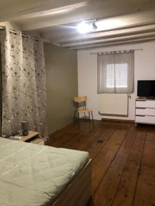 1 dormitorio con 1 cama y TV en Spacieux appartement 2/6 pers 110m² proche CNPE, en Lagnieu