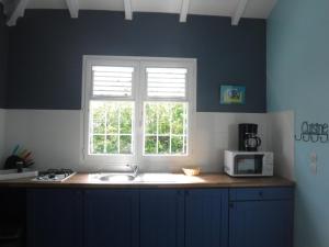 a kitchen with a sink and a window at Bungalow cocodile in Sainte-Anne
