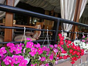 a bunch of pink flowers hanging from a railing at Hotel Scorpion in Kruševo