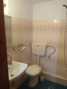 La salle de bains est pourvue de toilettes et d'un lavabo. dans l'établissement Theodore Apartments, à Zakharo
