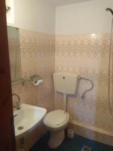 a bathroom with a toilet and a sink at Theodore Apartments in Zakharo