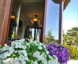 a bouquet of flowers in front of a mirror at Hotel Scorpion in Kruševo