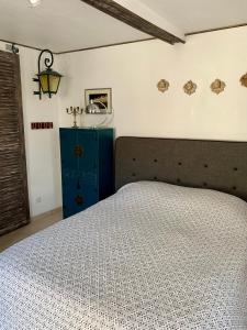 een slaapkamer met een bed en een blauwe kast bij Appartement de la Duchesse de Dino in Valençay
