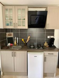 uma cozinha com um lavatório e um micro-ondas em Appartement de la Duchesse de Dino em Valençay