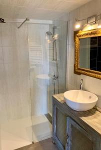 ヴァランセにあるAppartement de la Duchesse de Dinoのバスルーム(シンク、鏡付きシャワー付)