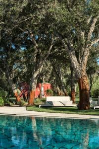 a bench sitting next to a pool with trees at Li Neuli Country Club in San Pantaleo