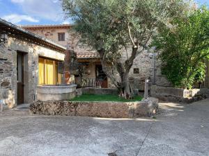 una casa de piedra con un árbol delante en Habitaciones Rurales La Vertedera I en Villar de Ciervo