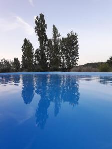 a pool of blue water with trees in the background at La Maison de Thelma in Bézues-Bajon