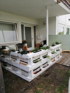 uma caixa de plantas com plantas em uma casa em Apartment Froschkönig em Gladenbach