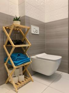 a bathroom with a wooden shelf next to a toilet at Apartament Victoria 5 Mórz in Sianozety