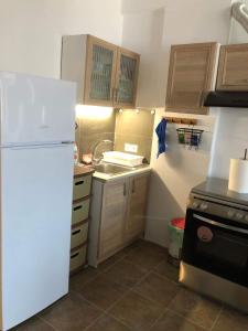 a kitchen with a white refrigerator and a sink at Cycladic house in Kithnos +24 photos