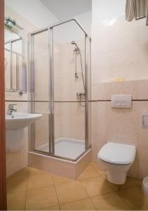 uma casa de banho com um chuveiro, um WC e um lavatório. em Hotel Karczyce em Karczyce
