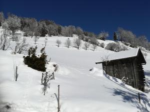 Biobergbauernhof Bergzeit Apartment in Goldegg durante l'inverno