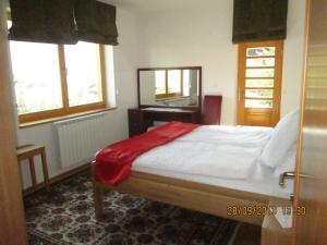 a bedroom with a bed and a mirror and windows at Villa Una in Sarajevo
