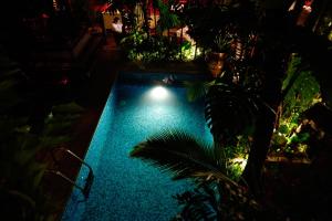 タパチュラにあるHotel Boutique Casona Maya Mexicanaの夜のスイミングプールのオーバーヘッドビュー