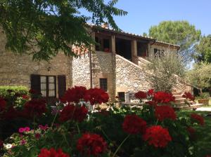 阿梅利亞的住宿－Agriturismo Podere Luchiano，一座石头房子,前面有红花