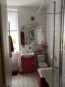 bagno con lavandino, servizi igienici e specchio di Church View House a Drewsteignton