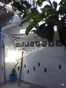 Imagen de la galería de Meanwhile in Veracruz, en Veracruz