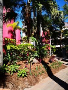 a garden with palm trees and a pink building at Enderley Gardens Resort in Gold Coast