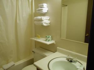 La salle de bains est pourvue d'un lavabo, de toilettes et d'une douche. dans l'établissement Victorian Inn, à Reno