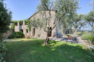 una vieja casa de piedra con un árbol en el patio en Villa Sorgente, en Santa Maria Albiano