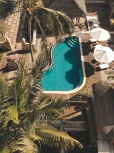 an overhead view of a pool with palm trees and umbrellas at Tentacle Bali in Nusa Penida