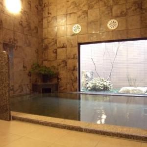 a swimming pool in a room with a large window at Hotel Route-Inn Komagane Inter in Komagane