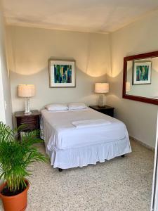 a bedroom with a bed with two lamps and a plant at Palmira Hostel in Tegucigalpa