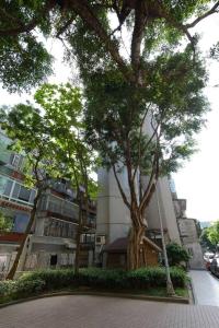 a building with a tree in front of it at BV Taipei XinYi D in Taipei