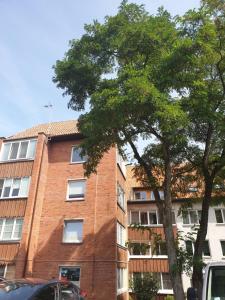 un edificio de ladrillo alto con un árbol delante de él en Apartamentai Taikos 10-36 Nida en Nida