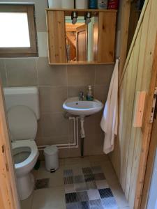 a small bathroom with a toilet and a sink at Forest Cottage Weekend House in Vlăhiţa +24 photos