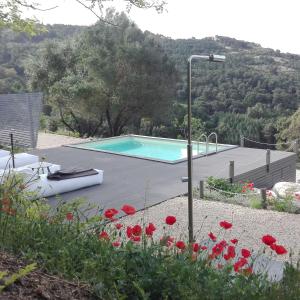 a swimming pool in the middle of a garden with red flowers at Tuffudesu Experience in Osilo