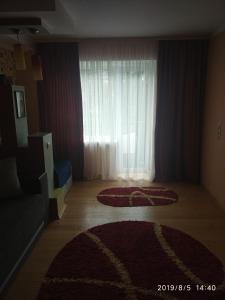 a living room with a window and two rugs on the floor at Apartment on Danyla Galytskogo 8A in Morshin