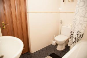 a small bathroom with a toilet and a sink at Semi-luxury Apartment on Zhukovskogo Street 57 in Zaporozhye