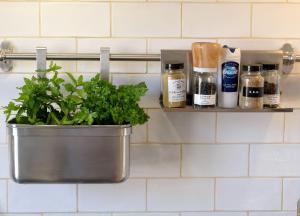un pot d'herbes et d'épices sur une étagère dans une cuisine dans l'établissement Kerpalud, maison néo-bretonne, près de Paimpol, à Ploubazlanec