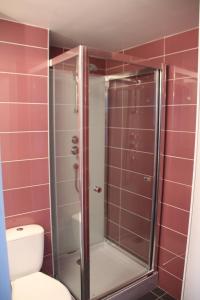 La salle de bains est pourvue d'une douche en verre et de toilettes. dans l'établissement STUDIO CHAMONIX MONT-BLANC Idéalement situé, à Chamonix-Mont-Blanc