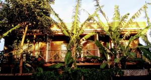 a house with palm trees in front of it at Cabañas Te Maori in Hanga Roa