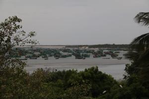 Príroda v okolí chaty v prírode
