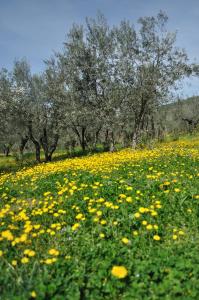 Imagen de la galería de Agriturismo "Antico Frantoio", en Foligno