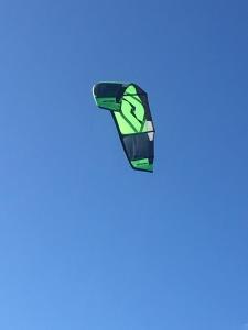 um papagaio está a voar no céu em Tropical Breeze Curaçao 'Blenchi' em Willemstad