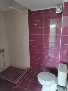 a bathroom with purple walls and a toilet at Melistalia appartment 1 in Nea Michaniona