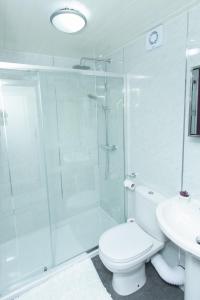 a bathroom with a shower and a toilet and a sink at Greyfriars Flat in Perth