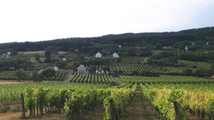 Φυσικό τοπίο κοντά σε αυτή η παραθεριστική κατοικία