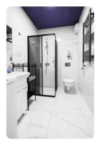 a white bathroom with a shower and a toilet at Room Tour Rakowicka 14a- Free Garage in Krakow