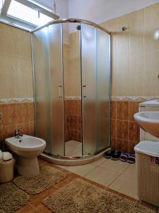 a bathroom with a shower and a toilet and a sink at All Seasons Apartments in Shkodër