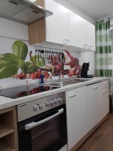 cocina con fregadero y fogones horno superior en Apartment Alt-Refrath, en Bergisch Gladbach