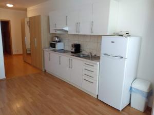 Kuchyň nebo kuchyňský kout v ubytování Apartmán na Donovaloch