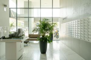 Un vestíbulo con una planta en maceta en un edificio. en ArtApart Stare Miasto Wrocław, en Wroclaw